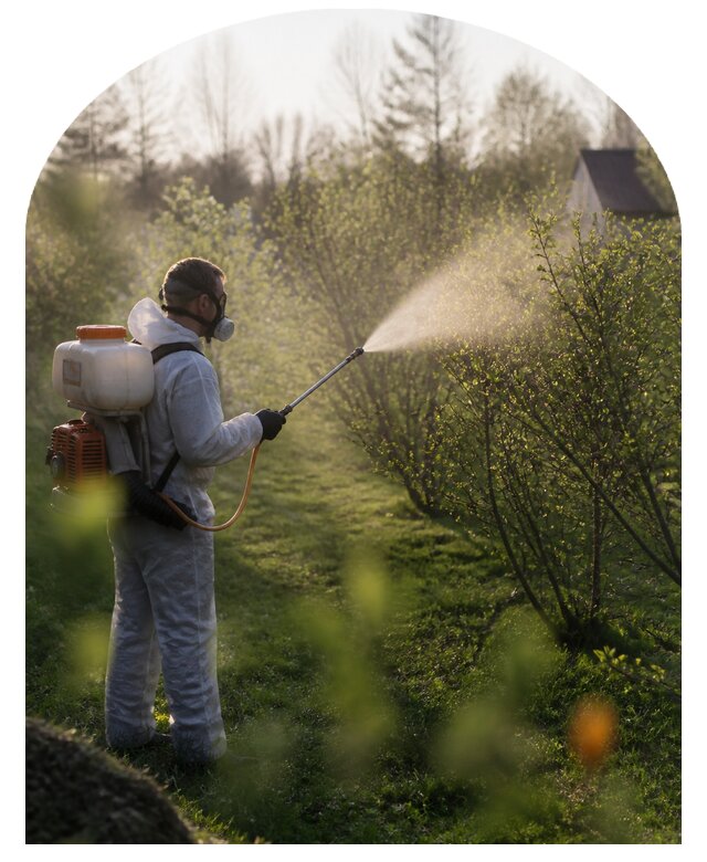 Профессиональная обработка сада от вредителей в Нижнем Тагиле